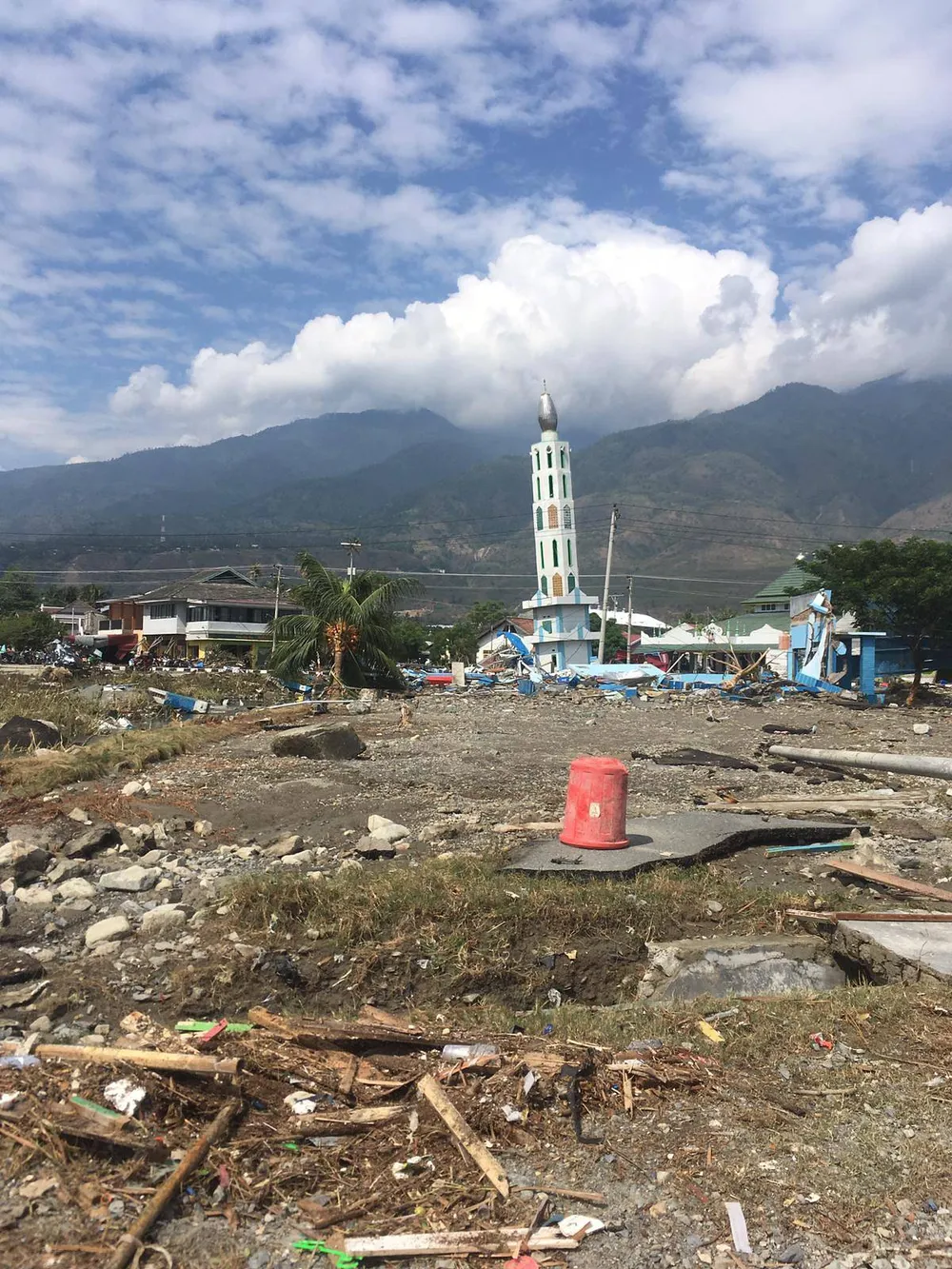 Quang cảnh Palu sau thảm họa. Ảnh: NG KOK CHOONG