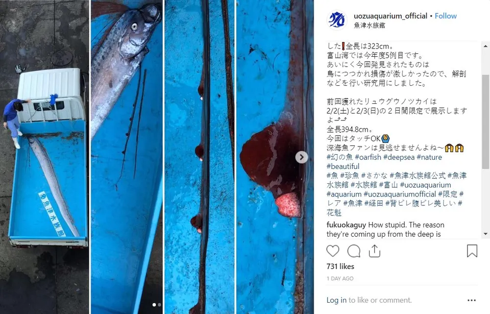 Dù các nhà khoa học trấn an nhưng người dân Nhật vẫn bày tỏ trên mạng xã hội nỗi lo sắp có thảm họa. Ảnh: INSTAGRAM