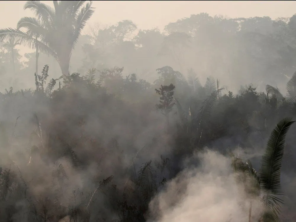 Khói từ cháy rừng Amazon. Ảnh: REUTERS