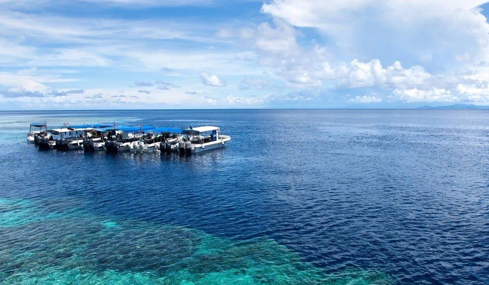 Sabah là một trong những địa điểm tuyệt vời nhất thế giới để bơi lặn. Ảnh: SHUTTERSTOCK