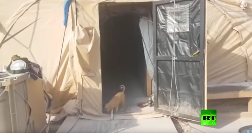 Lính Mỹ đã rút khỏi cứ điểm ở thị trấn Manbij, tỉnh Aleppo (ảnh) nhưng vẫn chưa rút hết ở vùng Ain Issa trong trị trấn Tell Abyad, tỉnh Raqqa (Syria). Ảnh: RT