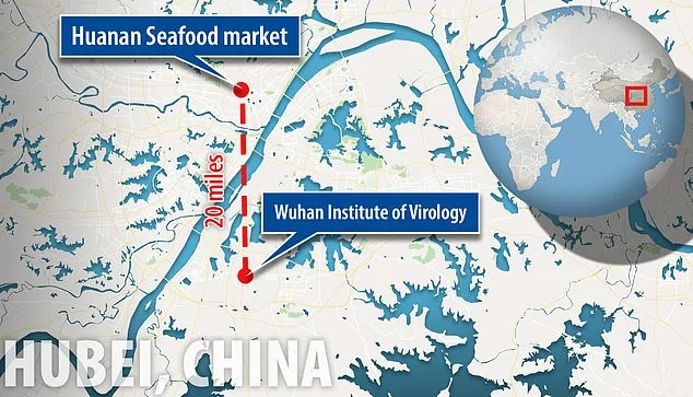 Phòng thí nghiệm chỉ cách khu chợ nơi phát hiện dịch ở Vũ Hán hơn 30km. Ảnh: DAILY MAIL