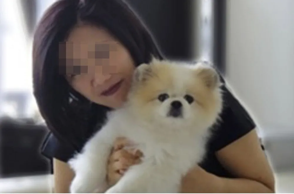 Tình hình dịch COVID-19 tính đến tối 29-2 ảnh 3