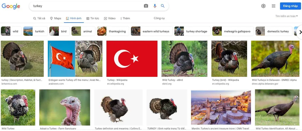 Tra từ Turkey trong trang tìm kiếm Google phần lớn cho ra hình ảnh con gà tây. Ảnh: GOOGLE