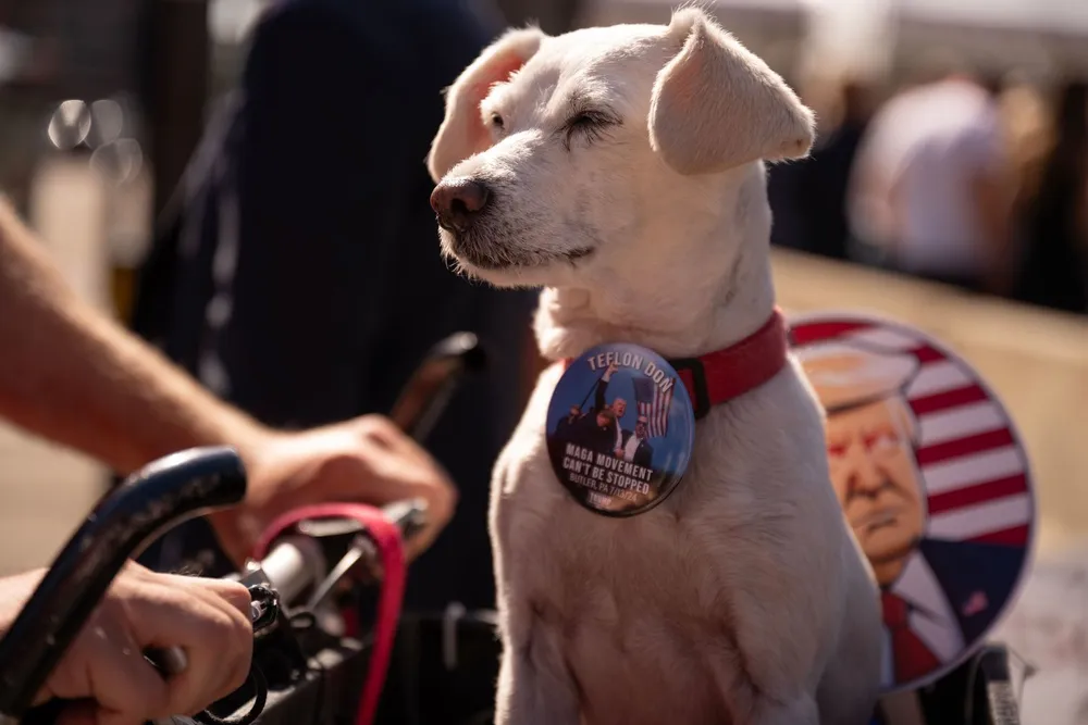 Chú chó Wags đeo huy hiệu có hình ông Trump, bên ngoài nơi tổ chức đại hội, ngày 18-7. Ảnh: CNN Trump tại đại hội đảng Cộng hòa20.jpg