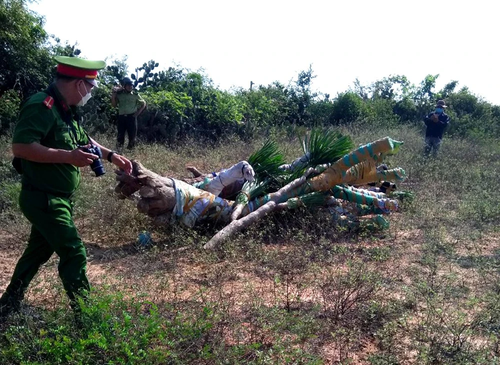 Công an huyện Thuận Nam khám nghiệm hiện trường vụ việc. Ảnh: BQL.