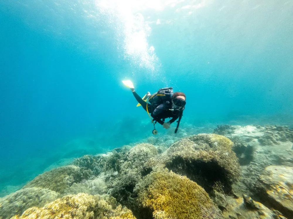 Ban quản lý vịnh Nha Trang tạm dừng hoạt động bơi, lặn biển tại Hòn Mun từ ngày 27-6. Ảnh: MK. Ban quản lý vịnh Nha Trang tạm dừng hoạt động bơi, lặn biển tại Hòn Mun từ ngày 27-6. Ảnh: MK.