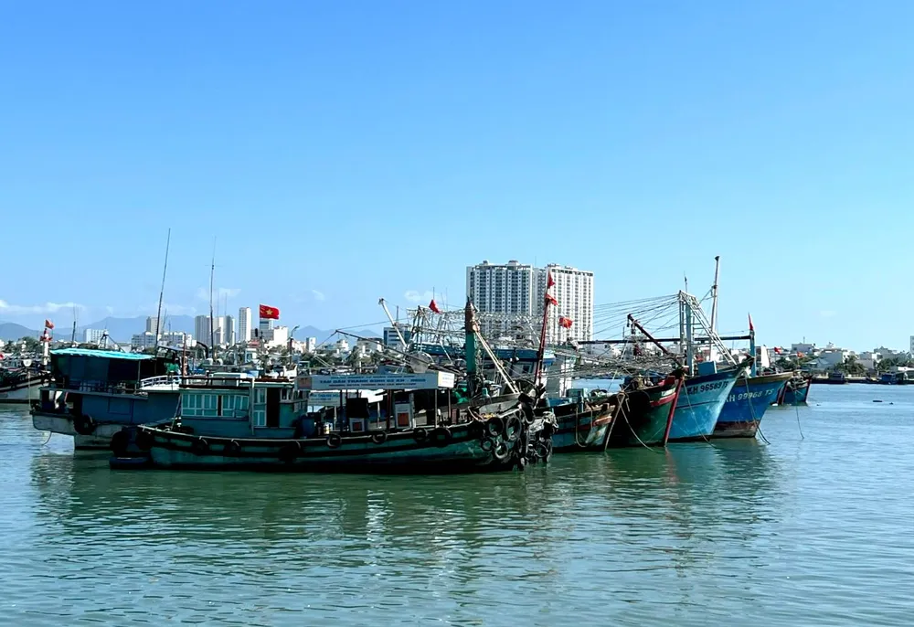 Tàu cá neo ở cảng Hòn Rớ, TP Nha Trang. Ảnh: XN