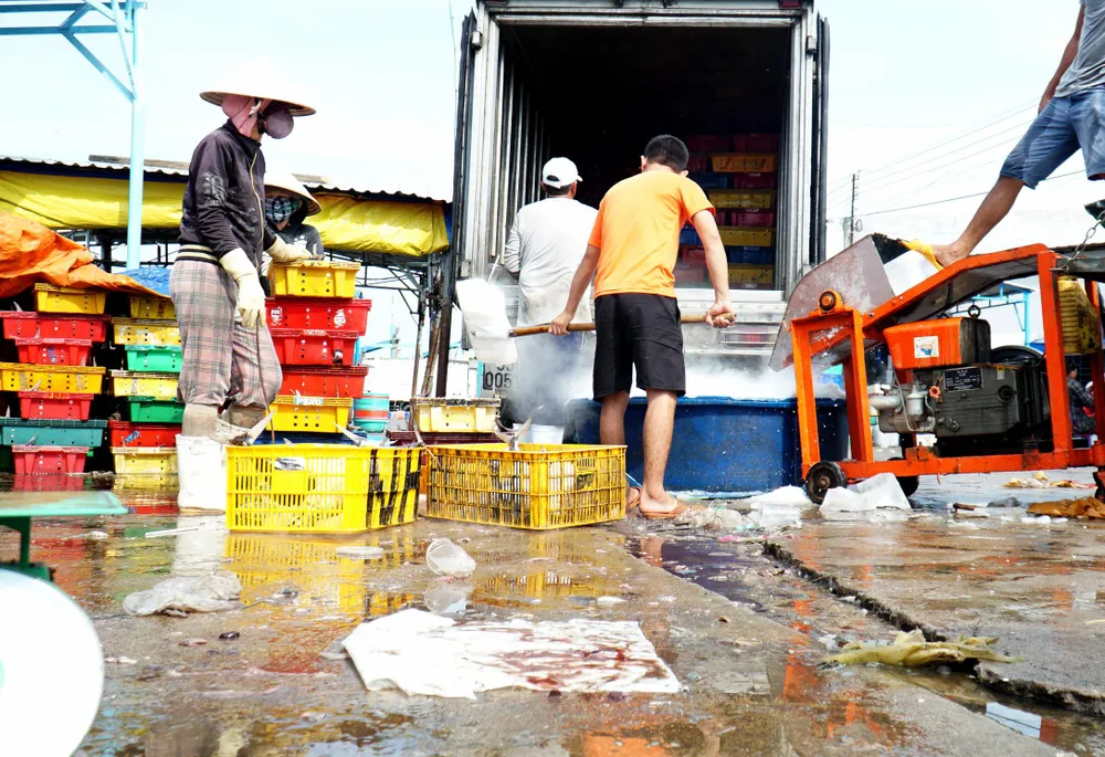 Cảng cá Đông Hải không có mái che nên công tác bảo quản hải sản không đảm bảo. Ảnh: HUỲNH HẢI.