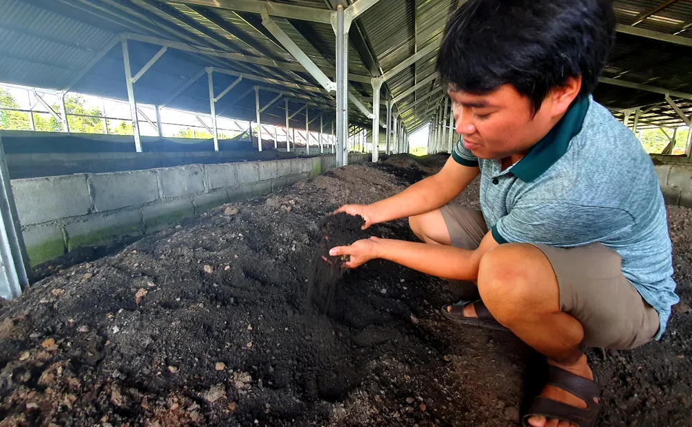 Trùn quế sẽ ăn các phế phẩm nông nghiệp và tạo ra phân vi sinh tự nhiên, không có mùi hôi. Ảnh: HH. Trùn quế sẽ ăn các phế phẩm nông nghiệp và tạo ra phân vi sinh tự nhiên, không có mùi hôi. Ảnh: HH.