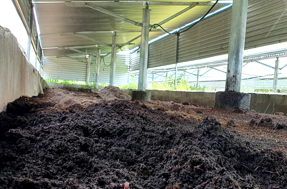 Trung tâm Nghiên cứu và chuyển giao công nghệ xanh đang nuôi trùn quế dưới 3.000 m2 điện mặt trời. Ảnh: HH. Trung tâm Nghiên cứu và chuyển giao công nghệ xanh đang nuôi trùn quế dưới 3.000 m2 điện mặt trời. Ảnh: HH.
