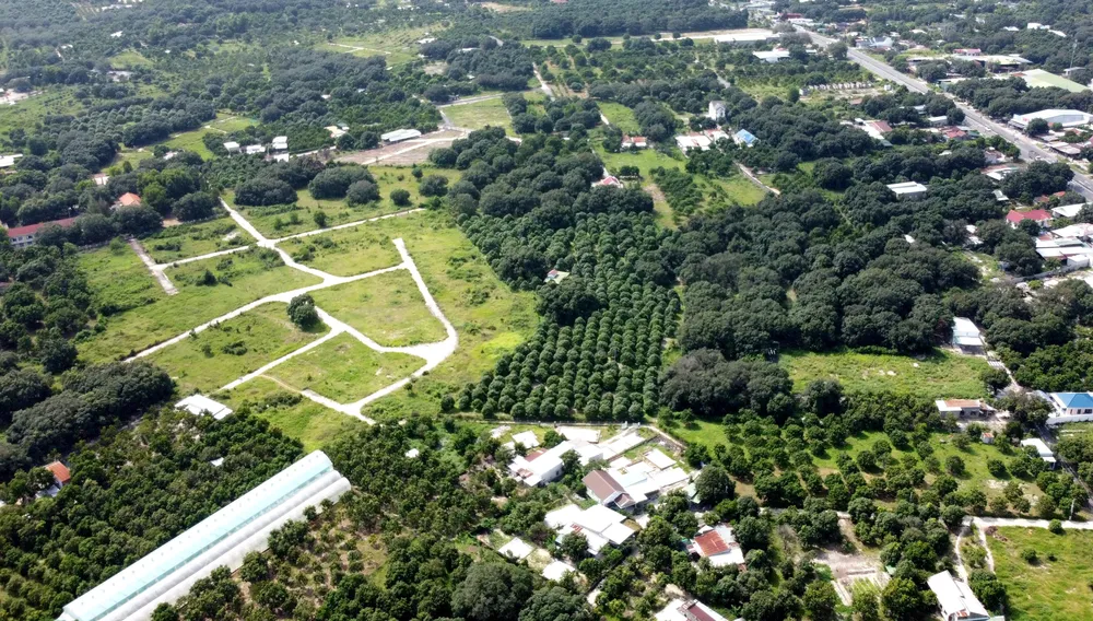 Sẽ rà soát các trường hợp hiến đất làm đường từ ngày 1-4-2014 đến nay ở Nha Trang. Ảnh: TN.