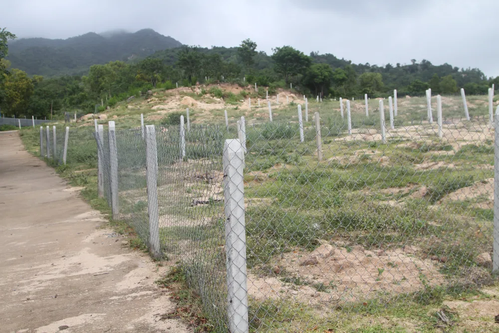 Diện tích tối thiểu đất ở nông thôn được tách thửa từ 50 m2 trở lên. Ảnh: VK.