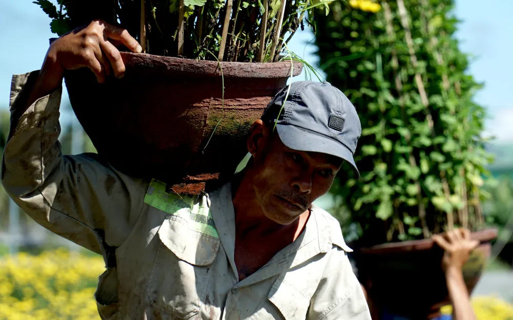 Ngoài trồng hoa, người dân nơi đây cũng kiếm thêm thu nhập từ việc bốc vác hoa cho các thương lái. Một người bốc vác hoa cho biết công mỗi chậu hoa bốc lên xe giá từ 10.000 đồng đến 50.000 đồng tùy chậu lớn nhỏ. &quot;Mỗi ngày tôi kiếm được khoảng 600.000 đồng, cũng có thêm thu nhập để chi tiêu ngày Tết&quot; - người đàn ông này nói.