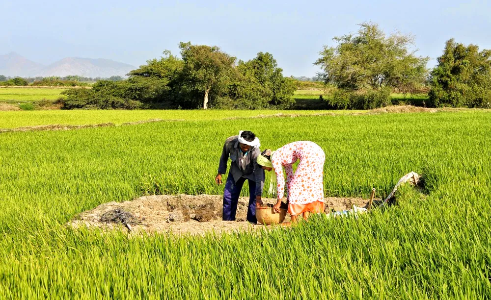Đất sét làm gốm được lấy ở đồng Hanu Nulanh bên bờ sông Quao. Đất sét làm gốm được lấy ở đồng Hanu Nulanh bên bờ sông Quao.