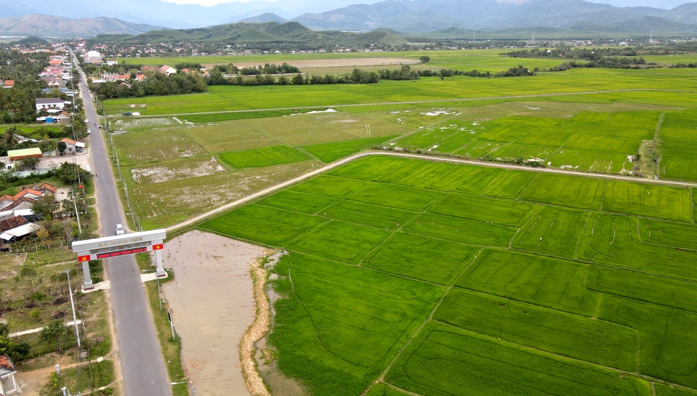 Cánh đồng lúa tại xã Ninh Sơn, thị xã Ninh Hòa, tỉnh Khánh Hòa. Ảnh: HH