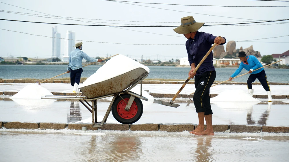 Đồng muối tập trung tại các xã Tri Hải, Nhơn Hải, Phương Hải của huyện Ninh Hải; Cà Ná, Phước Diêm, Phước Minh của huyện Thuận Nam. Tỉnh Ninh Thuận cung cấp khoảng 50% sản lượng muối của cả nước.