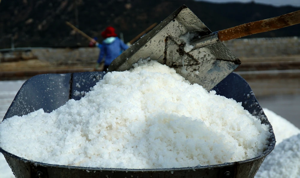 Lãnh đạo Sở NN&amp;PTNT tỉnh Ninh Thuận cho biết các doanh nghiệp trên địa bàn đã đầu tư trang thiết bị chế biến muối đáp ứng cho nhu cầu của ngành công nghiệp hóa chất, nguyên liệu chế biến muối tinh cao cấp.