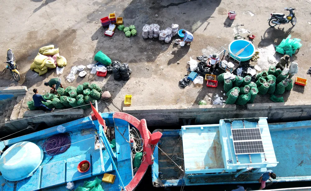 Kinh tế biển được xác định là động lực phát triển của Ninh Thuận. Giai đoạn năm 2016-2021, tốc độ tăng trưởng kinh tế biển của tỉnh đạt 18,6%/năm, tỉ trọng đóng góp GRDP năm 2022 đạt 40,71%.