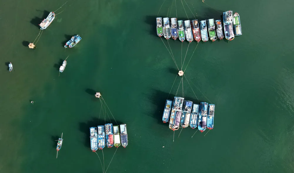 Ninh Thuận đặt mục tiêu đến năm 2025 sẽ triển khai các chính sách hỗ trợ chuyển đổi nghề cho tàu cá hoạt động khai thác ven bờ và các nghề hủy diệt nguồn lợi thủy sản. Đồng thời, triển khai các dự án phục hồi hệ sinh thái biển, rạn san hô, thảm cỏ biển cho các loài hải sản sinh sống.