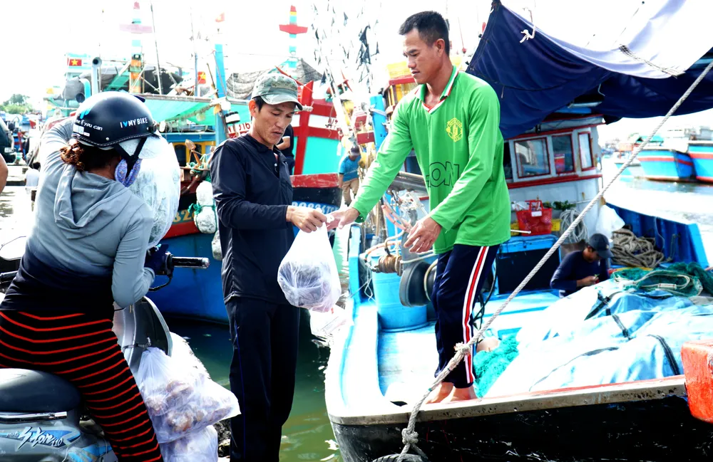 Dưới tàu, các thuyền viên đang nhận thực phẩm, các nhu yếu phẩm cho chuyến đi biển dài ngày. Tàu NT02081-TS có hơn 10 thuyền viên hành nghề lưới cá ngừ. Mỗi chuyến đi khoảng 10 ngày, vì vậy lương thực, thực phẩm được bảo quản rất cẩn thận.