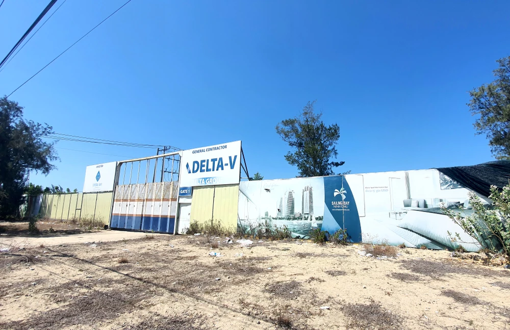 Chủ tịch UBND tỉnh Ninh Thuận đề nghị xử lý việc Công ty CP Ninh Chữ Bay tự ý cưa hạ rừng phi lao. Ảnh: H.H