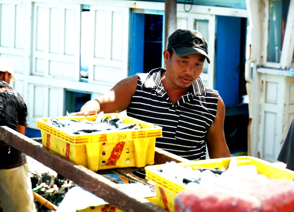 Theo các ngư dân, các tàu cá đều đã gắn thiết bị giám sát hành trình để yên tâm đánh bắt trên biển. Thiết bị giám sát hành trình sẽ giúp họ chủ động hơn trong việc theo đàn cá để đánh bắt. &quot;Có thiết bị giám sát hành trình gia đình ở nhà cũng biết tàu mình đang đi đánh bắt ở đâu. Trường hợp ở nhà biết sắp có thời tiết xấu gia đình cũng có thể thông báo để mình tránh&quot; - ngư dân Phạm Ngọc Châu, ngụ ở thị xã Đông Hòa, chia sẻ.