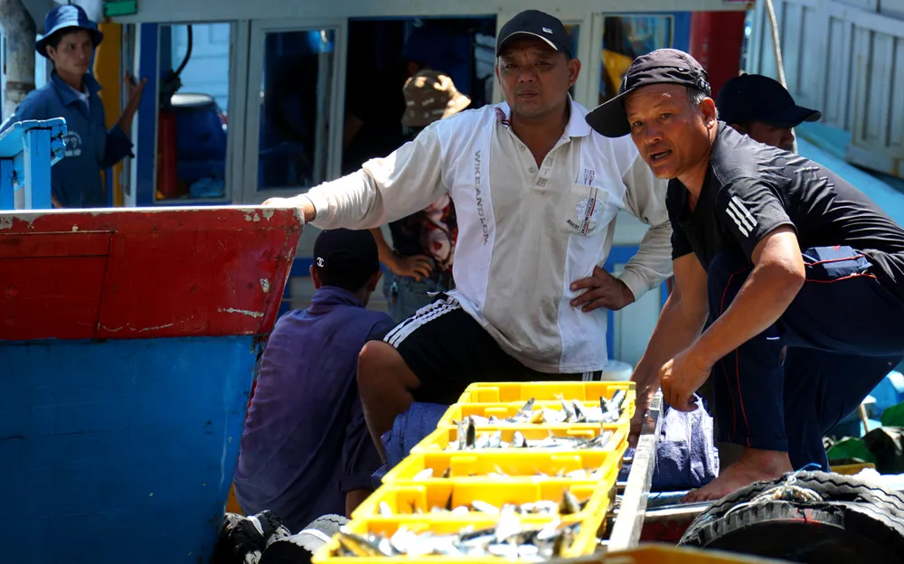 Các cảng cá sẽ giám sát 100% sản lượng, thành phần loài cá bốc dỡ qua cảng đối với các tàu cá không nằm trong danh sách tàu cá khai thác thủy sản bất hợp pháp.