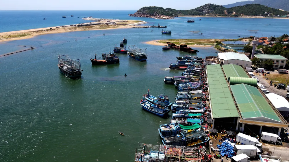 Năm 2022, giá trị kim ngạch xuất khẩu thủy sản chiếm 53% tổng kim ngạch xuất khẩu của tỉnh. Tàu cá và sản lượng thủy sản khai thác vùng khơi không ngừng tăng lên. Ông Lê Tấn Hổ, Phó Chủ tịch thường trực UBND tỉnh Phú Yên, cho biết tỉnh đang xây dựng quy hoạch phát triển chung của tỉnh giai đoạn 2030 tầm nhìn đến năm 2050. Trong đó, xác định rõ vị trí, vai trò của ngành thuỷ hải sản trong phát triển kinh tế.