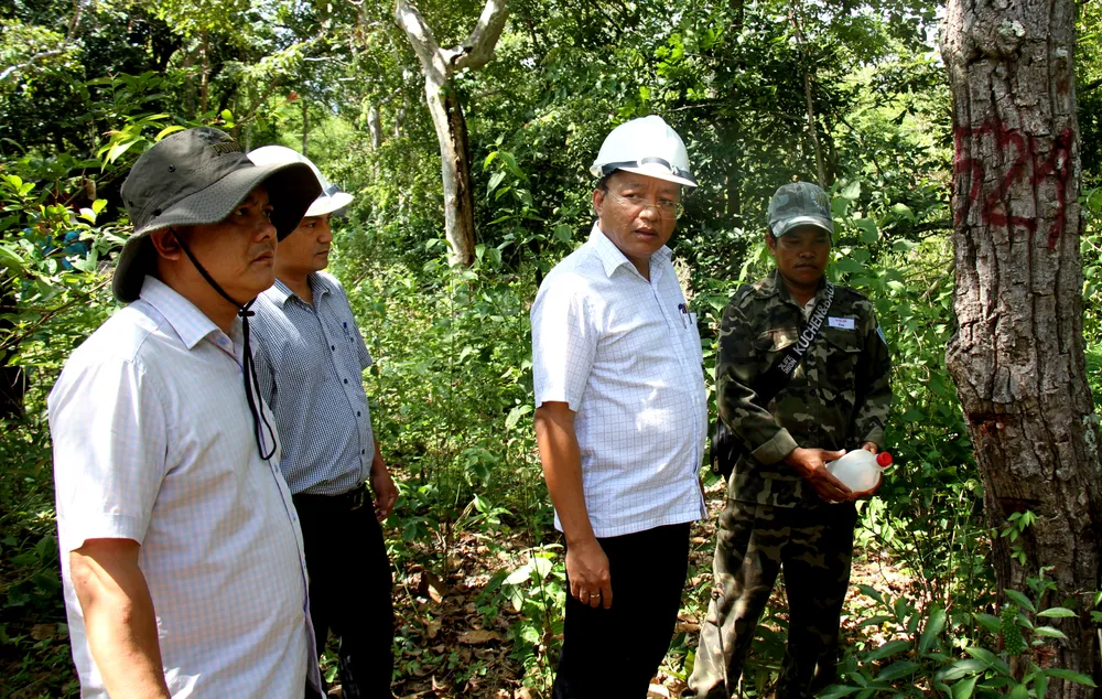 Ông Lê Huyền, Phó Chủ tịch UBND tỉnh Ninh Thuận (thứ ba từ trái sang) kiểm tra khu vực cây rừng bị hạ độc. Ảnh: C.T cay-rung-bi-ha-doc-6.jpg