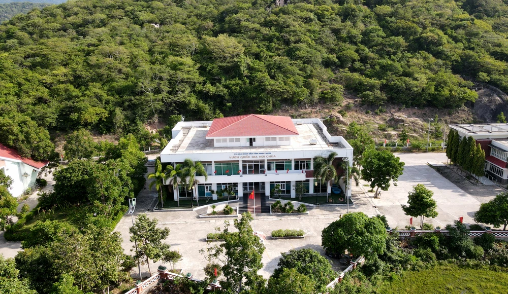 Ban Quản lý vườn quốc gia Núi Chúa đã và đang tham vấn các cơ quan thực hiện thủ tục chuyển mục đích rừng. Ảnh: H.H nui-chua-2.jpg
