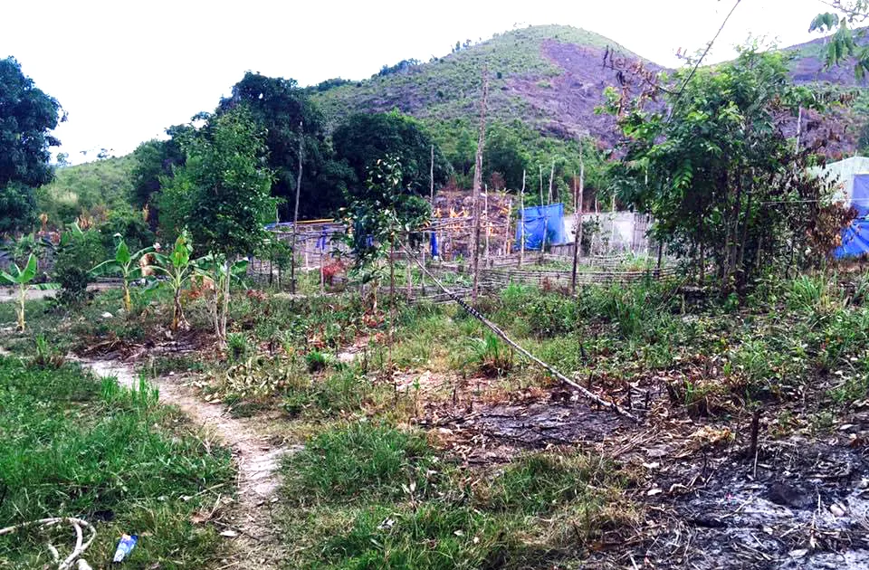 Sở TN&MT tỉnh Khánh Hòa nói lý do chậm thi hành án cho Công ty T. Ảnh: T.N thi hanh an 2.jpg