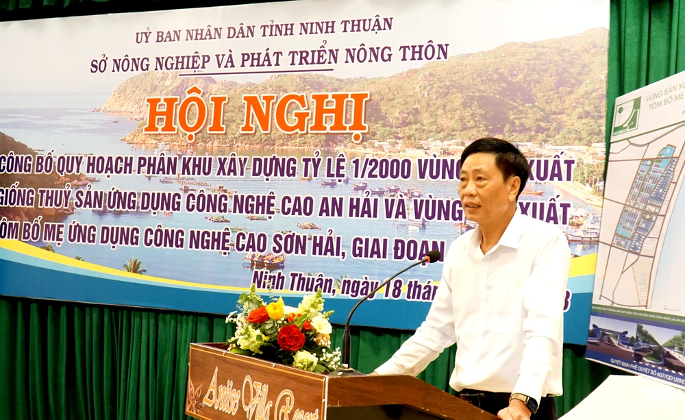 tôm giống.jpg