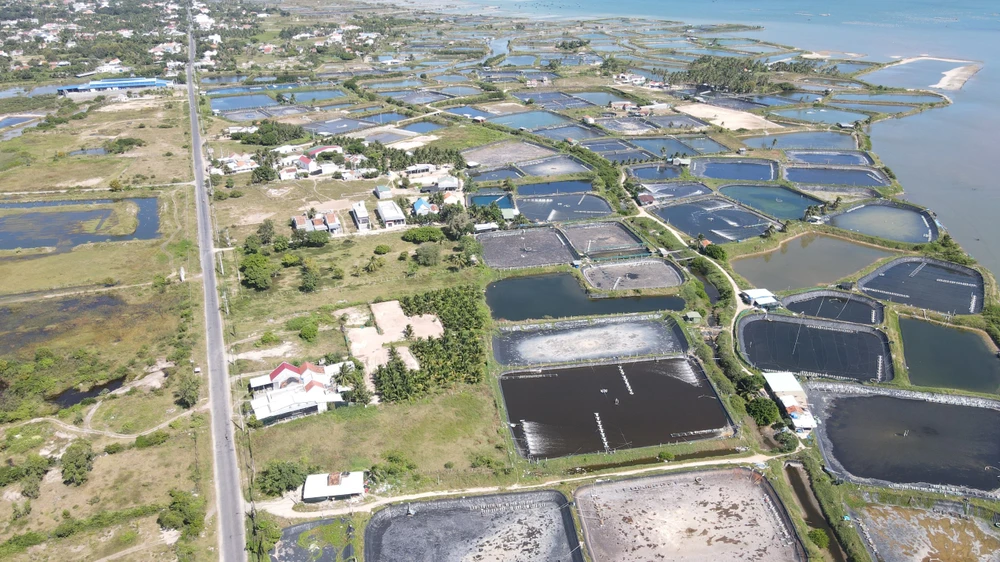 Khánh Hòa thu hồi khoảng 3.340 ha đất huyện Vạn Ninh để làm các dự án phát triển kinh tế xã hội. Ảnh: H.H vạn thắng.jpg