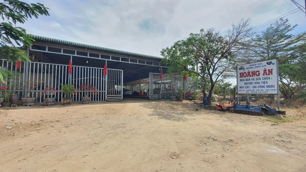 đấu giá thửa đất