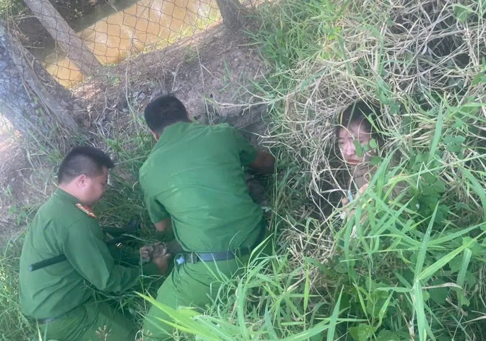 Trốn trong bụi cỏ