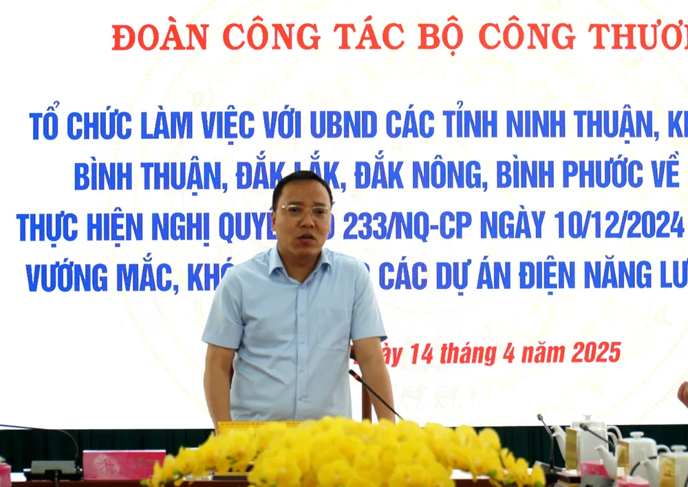 dự án điện năng lượng tái tạo.jpg