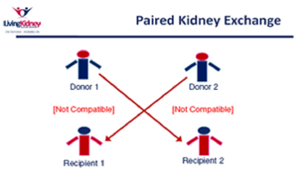Lần đầu tiên Việt Nam ghép thận chéo thành công ảnh 4