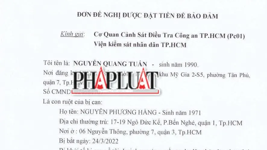 Đơn của con trai bà Hằng. Ảnh: H.YẾN