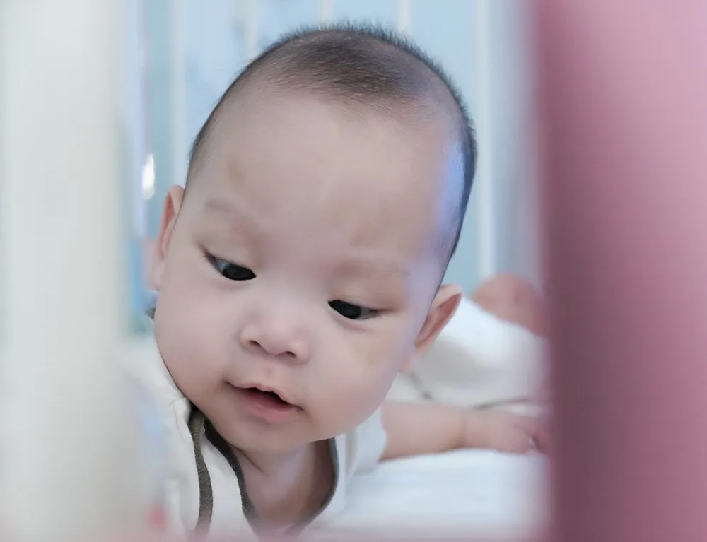 Bé trai sơ sinh bị vứt ở lề đường giờ ra sao? ảnh 1 Bé trai sơ sinh bị vứt ở lề đường giờ ra sao? ảnh 1