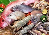 Cô gái tổn thương phổi nặng, suýt chết sau khi ăn cá ngừ ảnh 1 Xử trí thế nào khi bị dị ứng thức ăn?