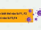 TP.HCM đang cách ly COVID-19 gần 5.500 người ảnh 2 Nhận biết thế nào là F1, F2, khi nào là F3, F4
