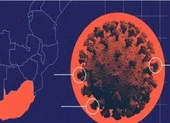 Chuyên gia lý giải trẻ ngất xỉu hàng loạt sau khi tiêm chủng ảnh 2 TP.HCM đã giải mã 408 bộ gene của SARS-CoV-2