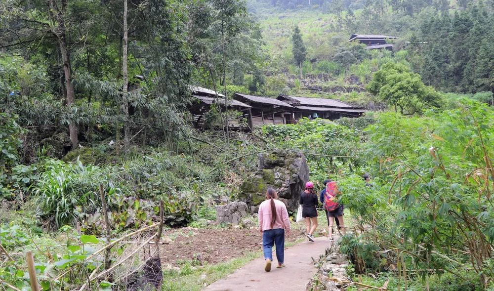 Làng Sảo Há thâm trầm dưới bóng đại ngàn. Ảnh: NÚI XANH