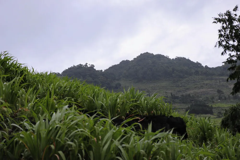 Làng Sảo Há ở gần đỉnh núi phía xa. Ảnh chụp từ đường đèo của con đường Hạnh Phúc. Ảnh: NÚI XANH