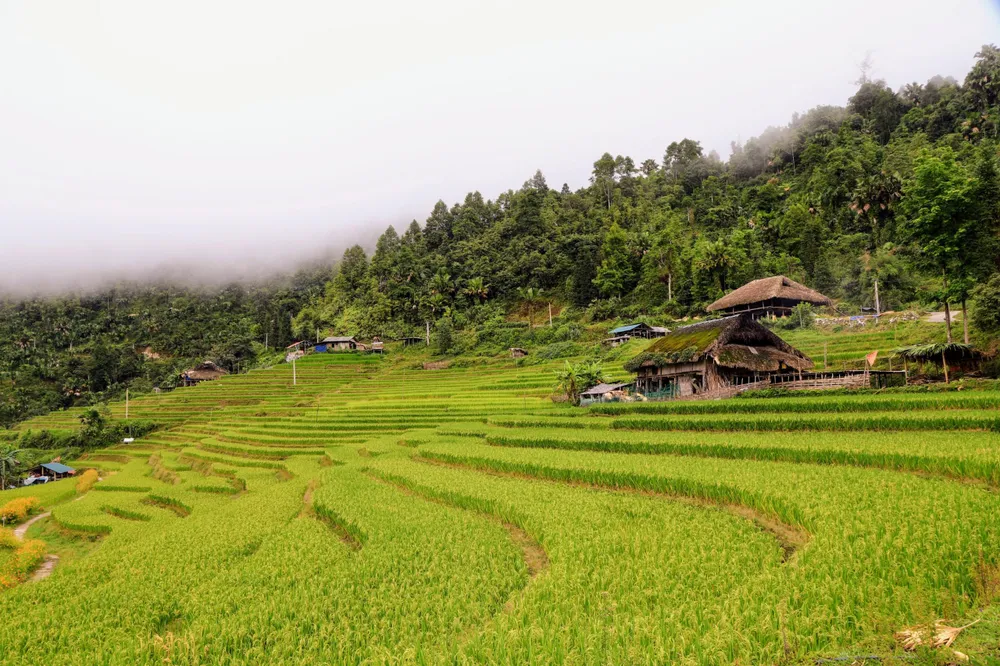 Lối kiến trúc nhà sàn truyền thống, mái lợp lá cọ truyền thống của người Dao. Ảnh: NÚI XANH