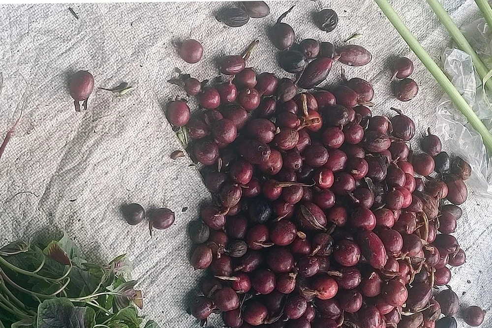 Những sản vật địa phương tại các chợ phiên. Ảnh: NÚI XANH