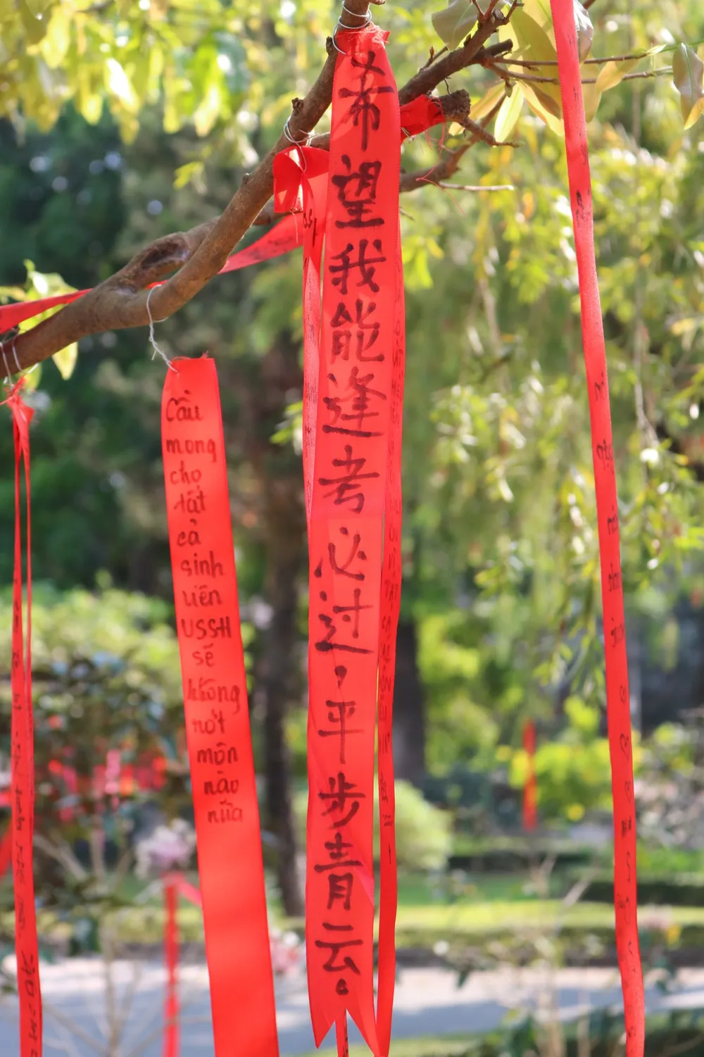 Dây ruy băng được các bạn viết bằng tiếng Trung.jpg