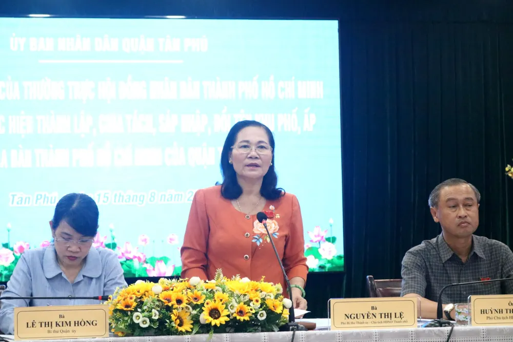 Chủ tịch HĐND TP Nguyễn Thị Lệ phát biểu kết luận tại buổi giám sát. Ảnh: HT sắp xếp khhu phố (2).jpg