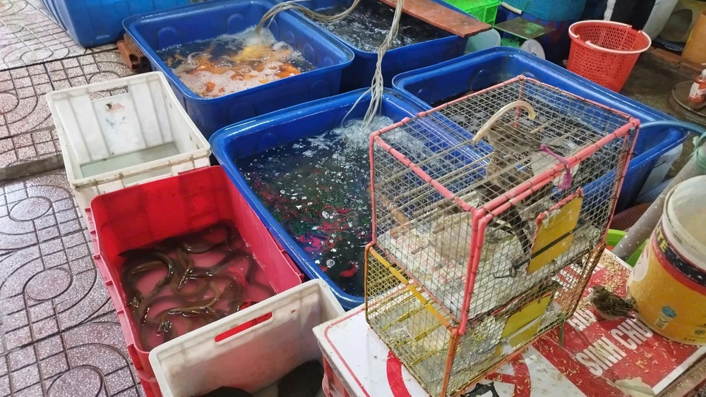 Phù Châu Miếu (3).jpg